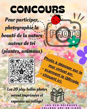Concours Photo.jpg